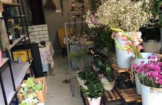 西昌最新爆料花店在哪里,探寻最新爆款的浪漫花店